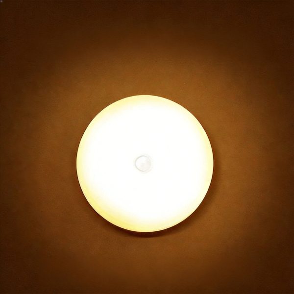 LED night light
